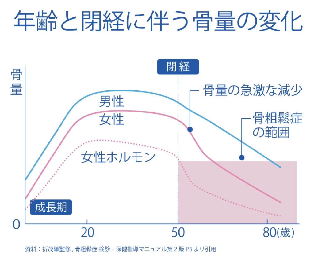 年齢と閉経に伴う骨量の変化